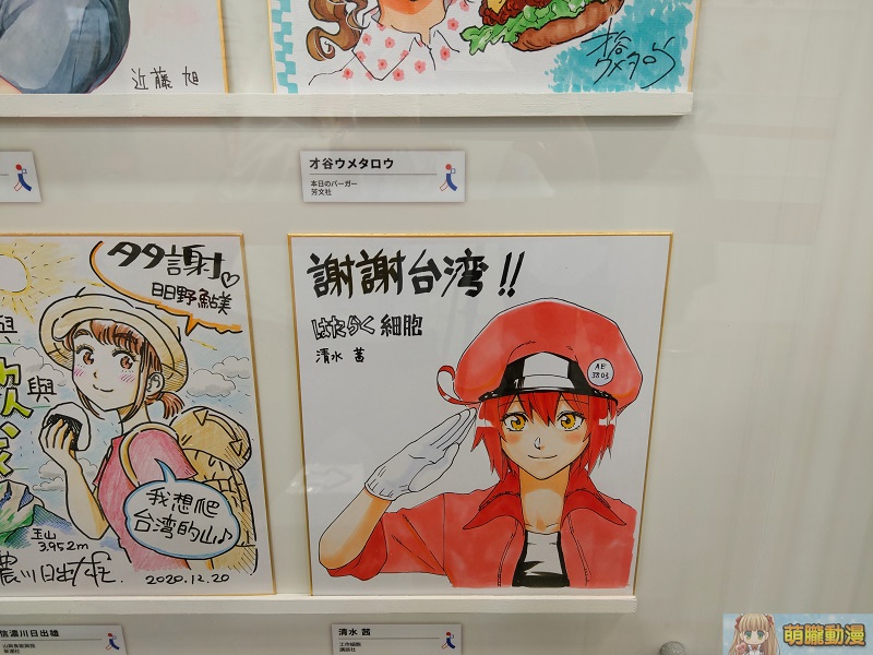 2021ticakoryujpIchiBanJapan26