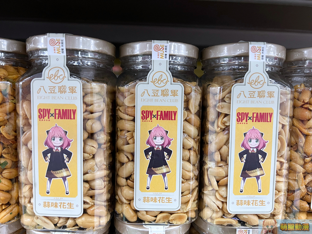 2022carrefourtwspyfamily04