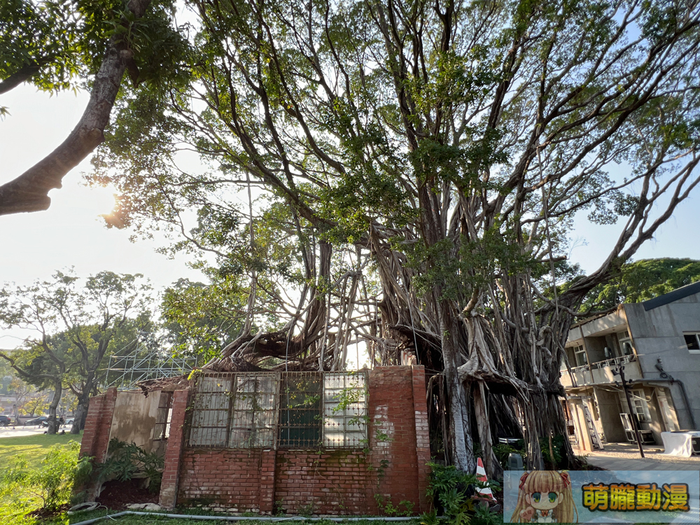 國家漫畫博物館東側園區於台中試營運中 幾個特展值得細細品味 5 2024ntmcevent06