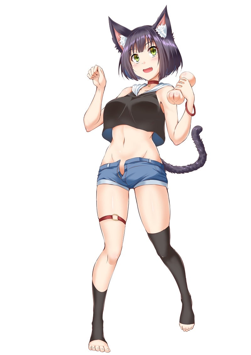 AkumatoysSionnekoihikaru16
